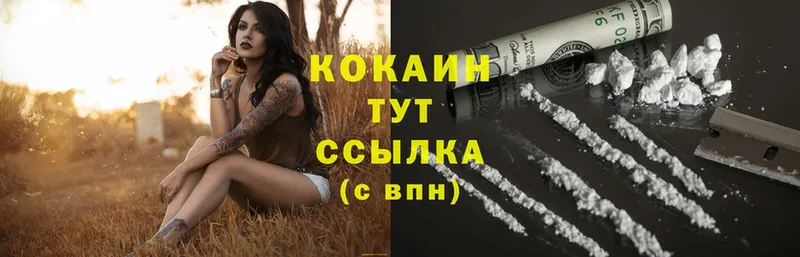 MEGA зеркало  Шагонар  Cocaine 99% 